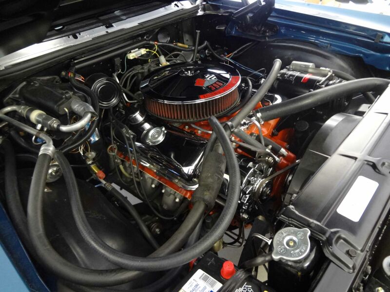 {short description of image}