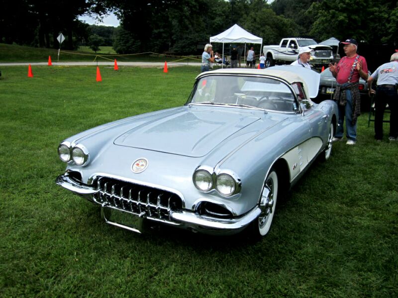 {short description of image}