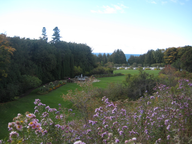 {short description of image}