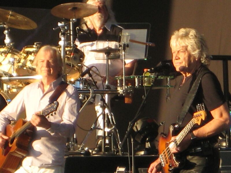 {short description of image}