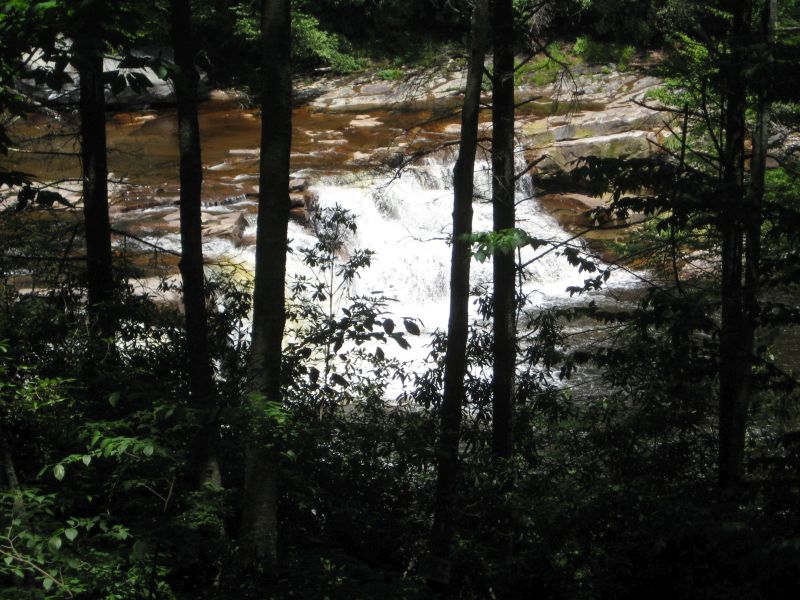 {short description of image}