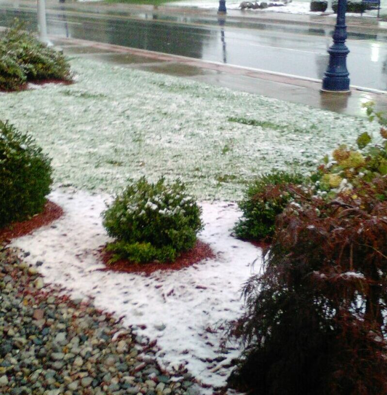 {short description of image}