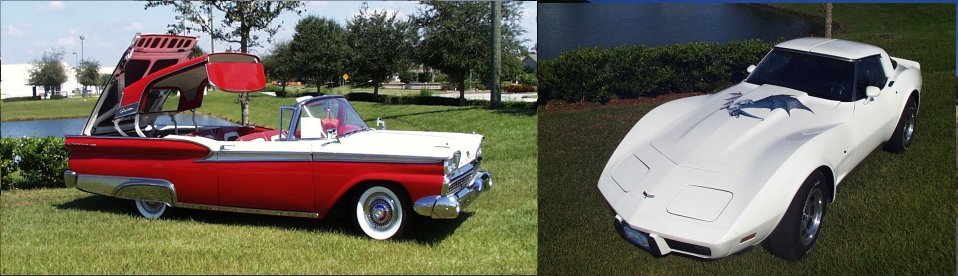 {short description of image}