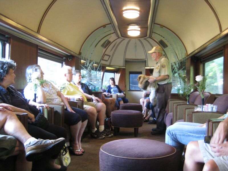 {short description of image}