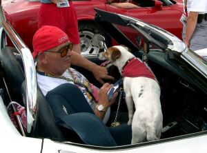 {short description of image}