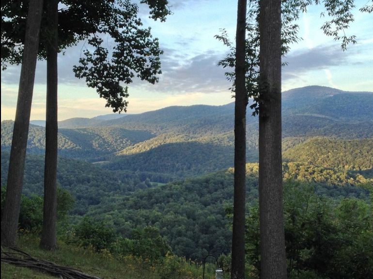 {short description of image}