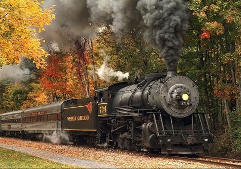 {short description of image}